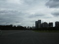 View in real size!