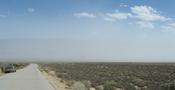 View in real size!