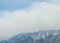 View in real size!