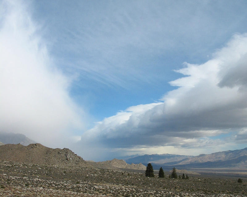 25.03.2006 17:15 UTC