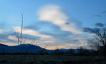 View in real size!