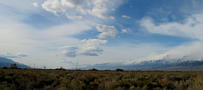 View in real size!