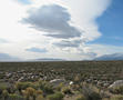 View in real size!
