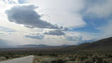View in real size!