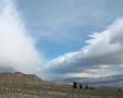 View in real size!