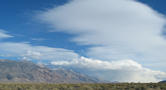 View in real size!