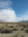 View in real size!