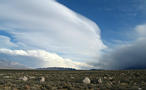 View in real size!