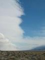 View in real size!