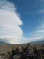 View in real size!