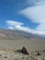 View in real size!