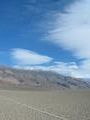 View in real size!