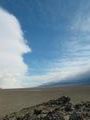 View in real size!