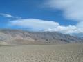 View in real size!