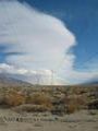 View in real size!