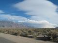View in real size!