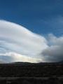 View in real size!