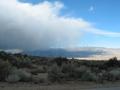 View in real size!