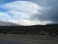 View in real size!