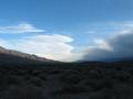 View in real size!